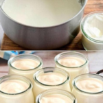 Iogurte Caseiro Irresistível: Prepare em Casa com Apenas 2 Ingredientes!
